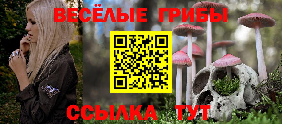 Рязань  Галлюциногенные грибы мицелий  Вход с VPN  Галлюциногенные грибы ЛСД 