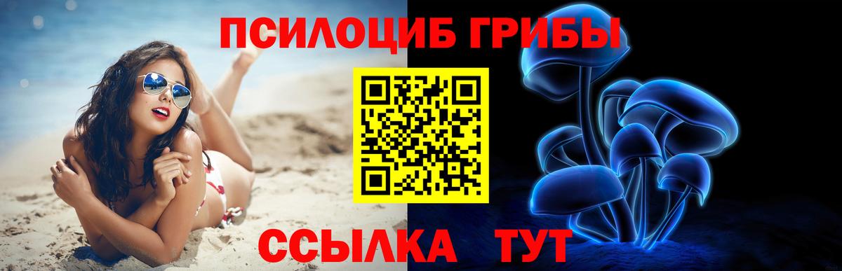 Галлюциногенные грибы GOLDEN TEACHER Рязань